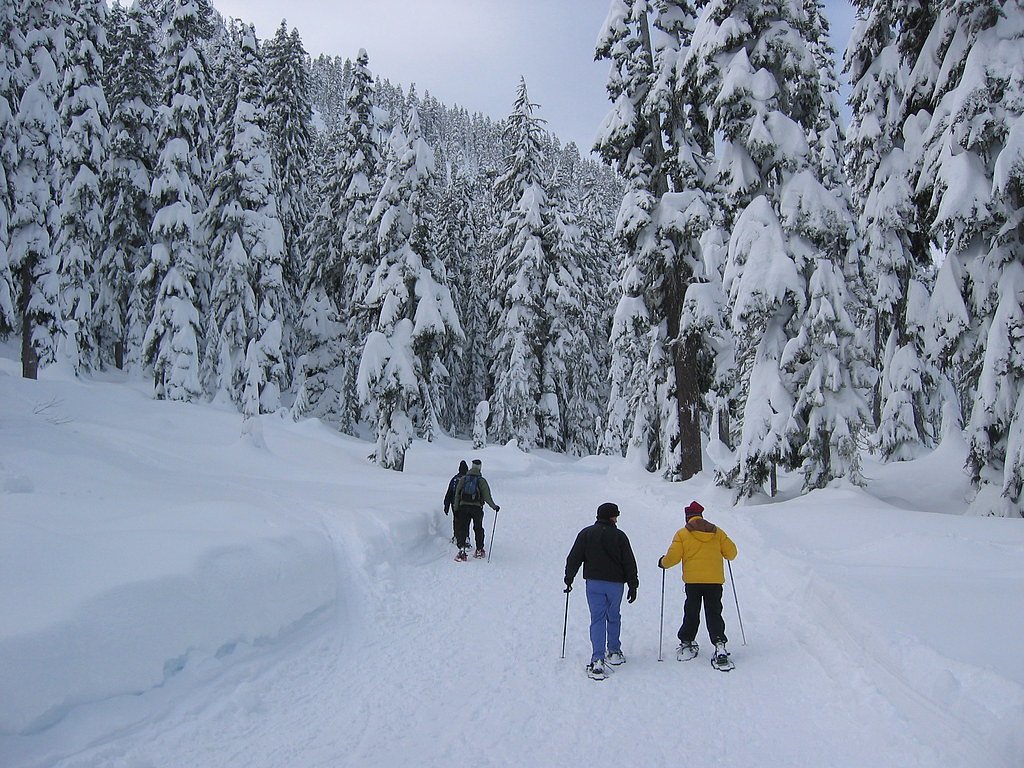 Snowshoe Falls waterfall