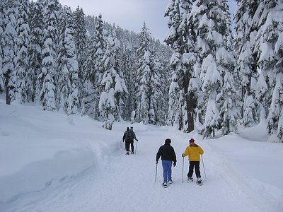 Snowshoe Falls