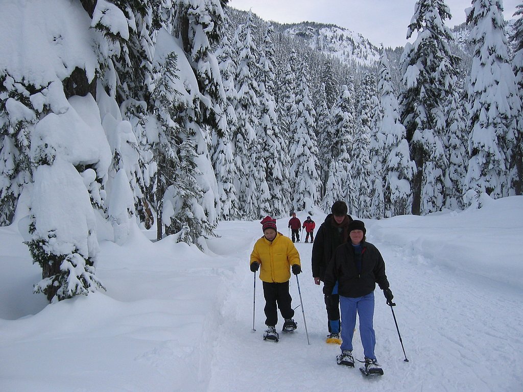Snowshoe Falls waterfall