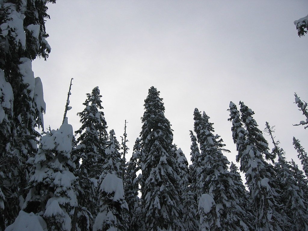 Snowshoe Falls waterfall