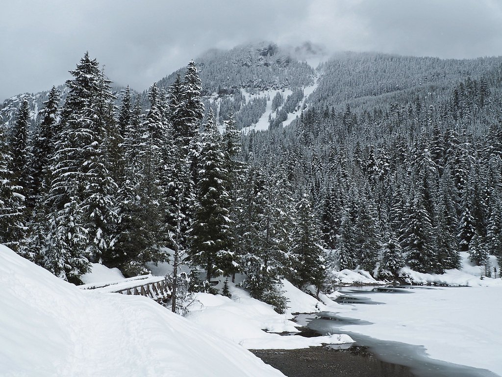 Snowshoe Falls waterfall
