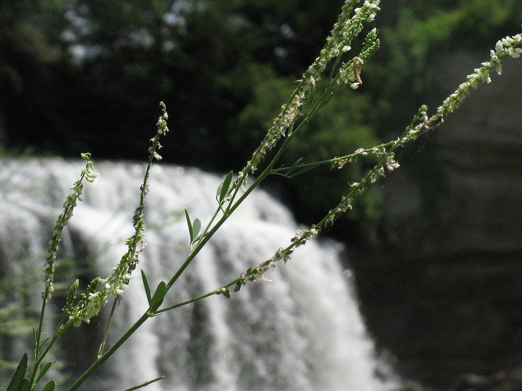 Snake River Falls waterfall