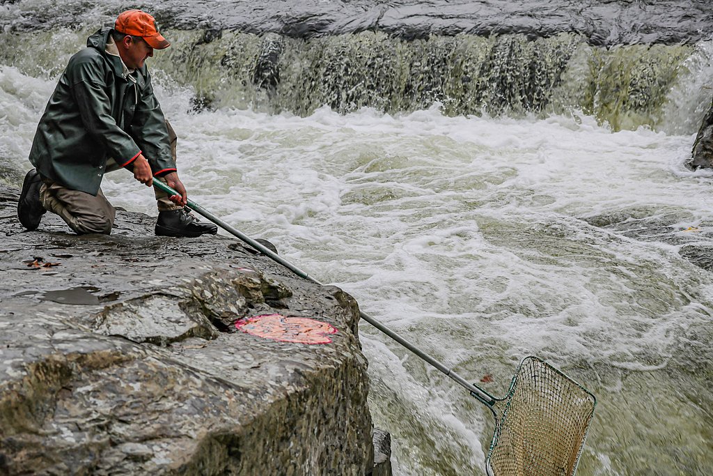 Smith River Falls waterfall