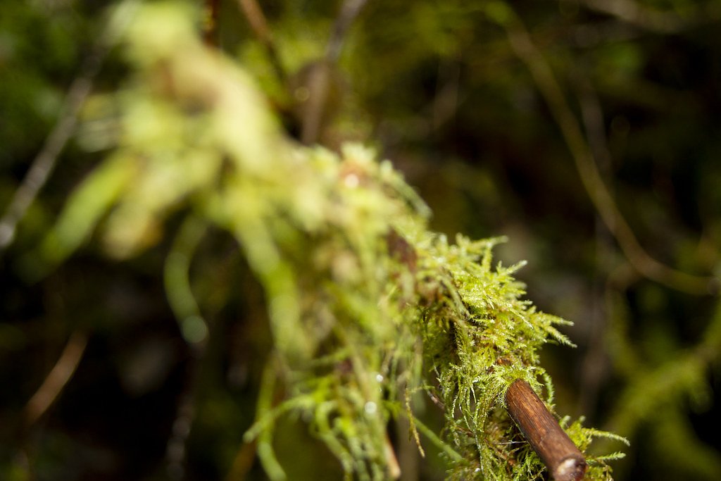 Smith River Falls waterfall