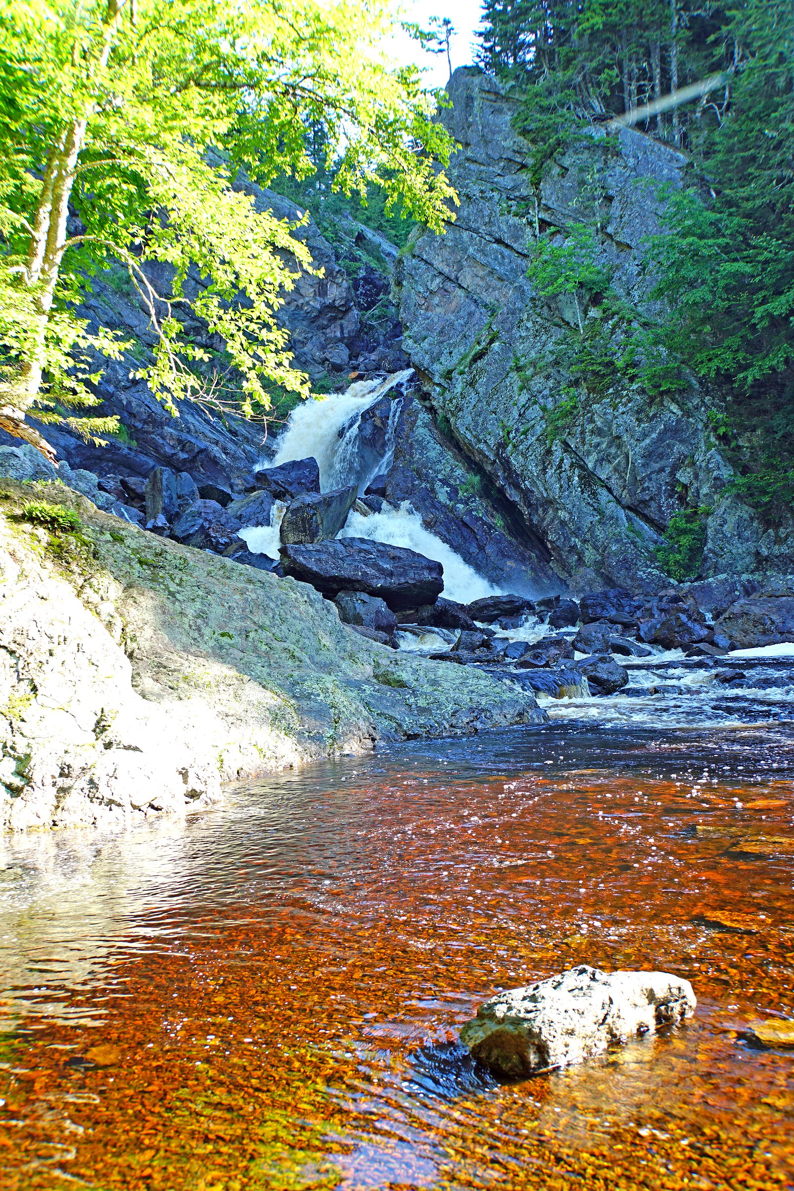 Economy Falls waterfall