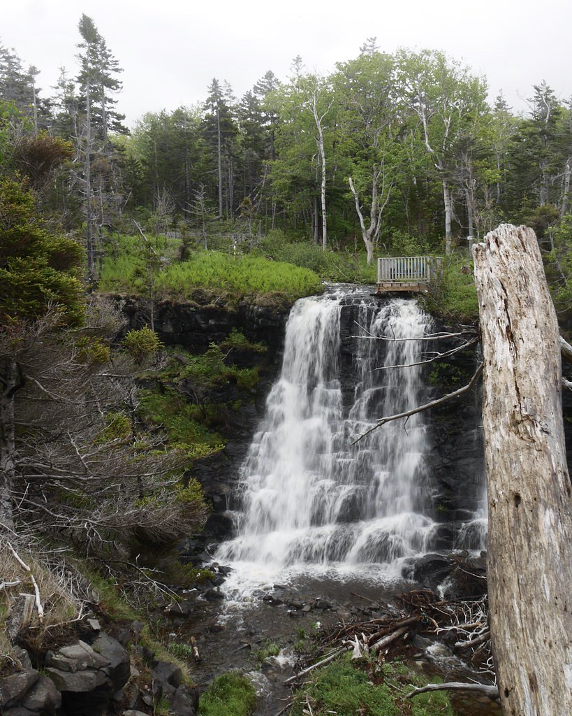 Delaps Cove Waterfalls waterfall