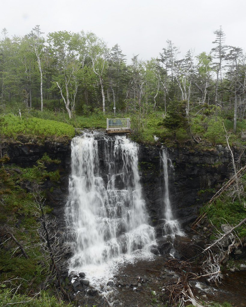 Delaps Cove Waterfalls waterfall