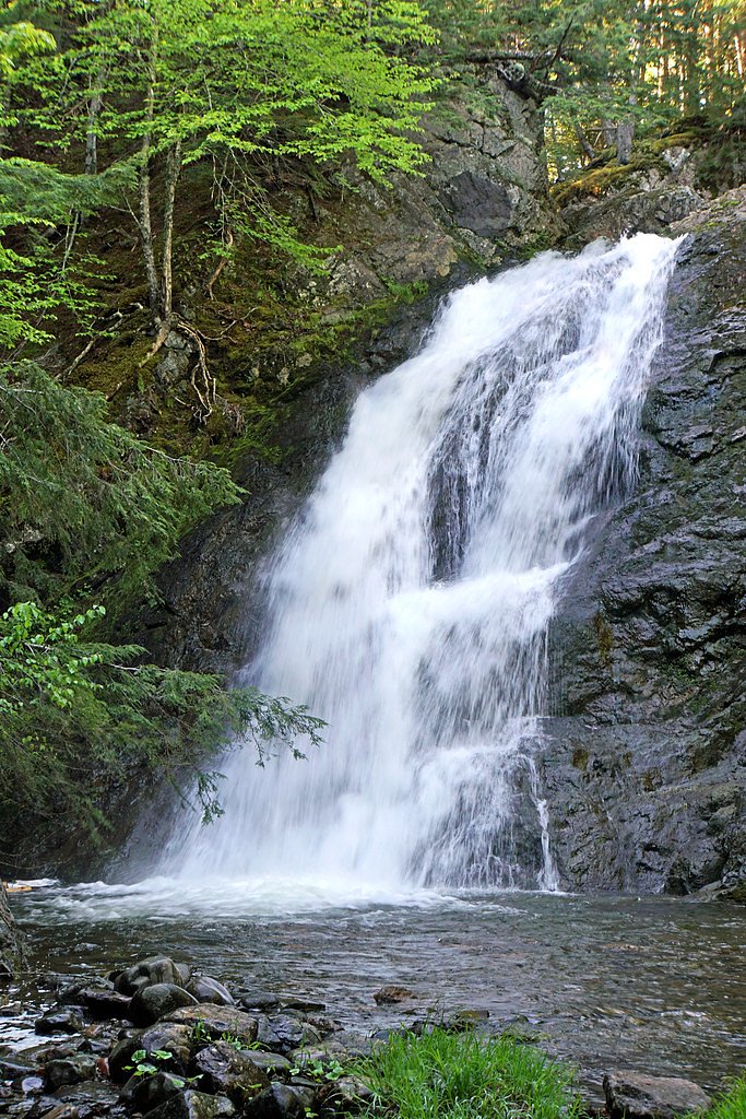 Highest Waterfall waterfall