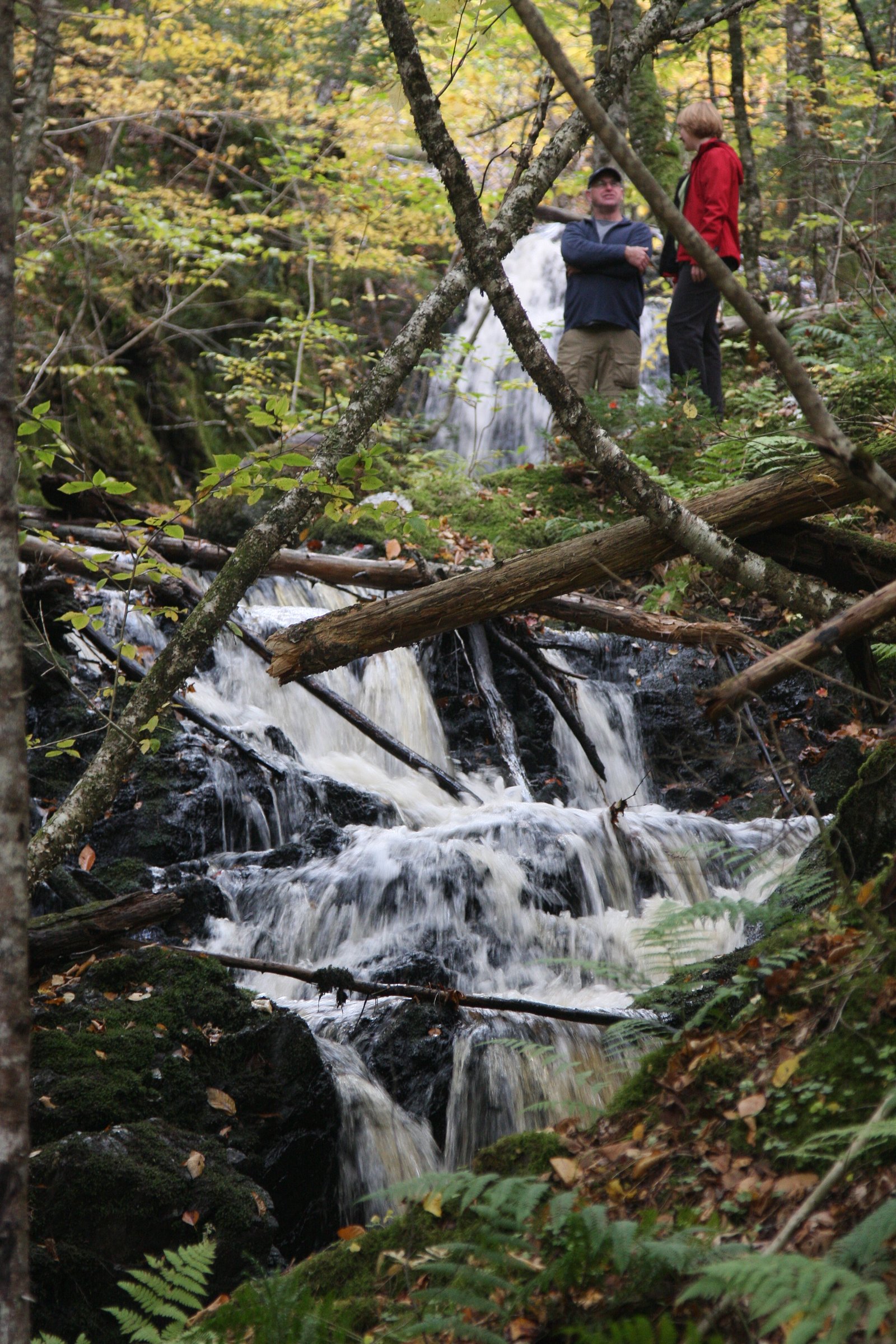 Devil's Hill Waterfall II waterfall