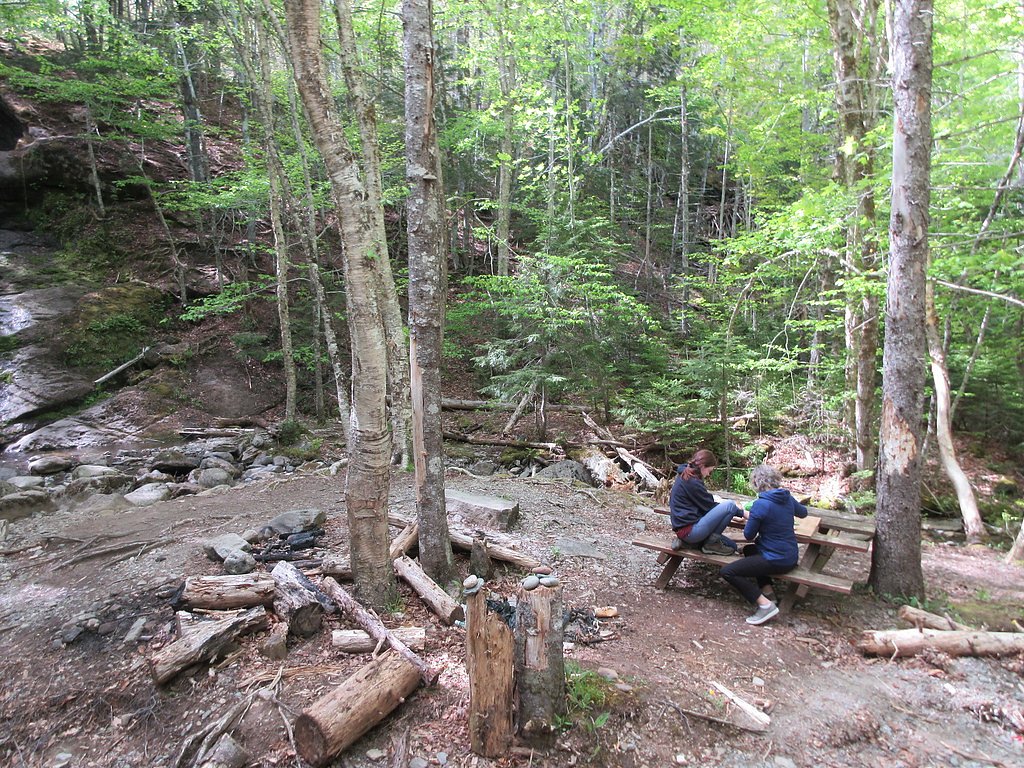 Myles Doyle Falls waterfall