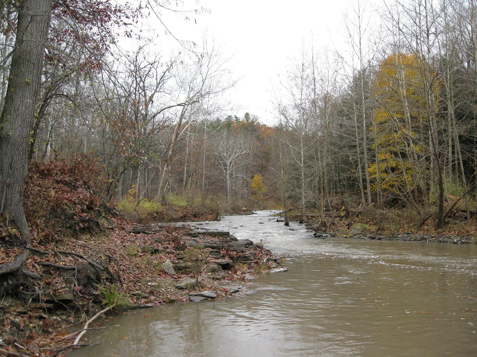 Wells Falls waterfall