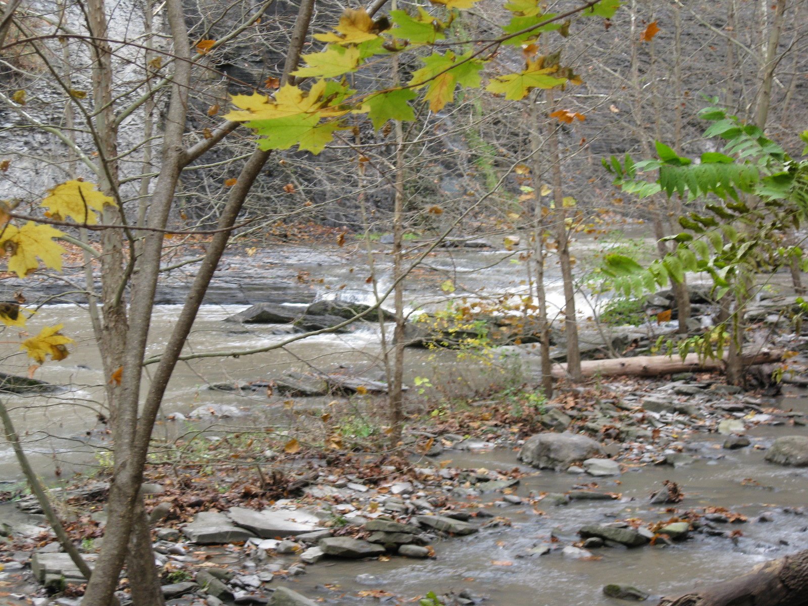 Wells Falls waterfall