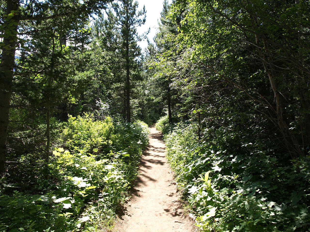 Lower Bertha Falls waterfall