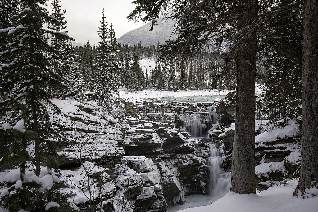 Athabasca Falls waterfall