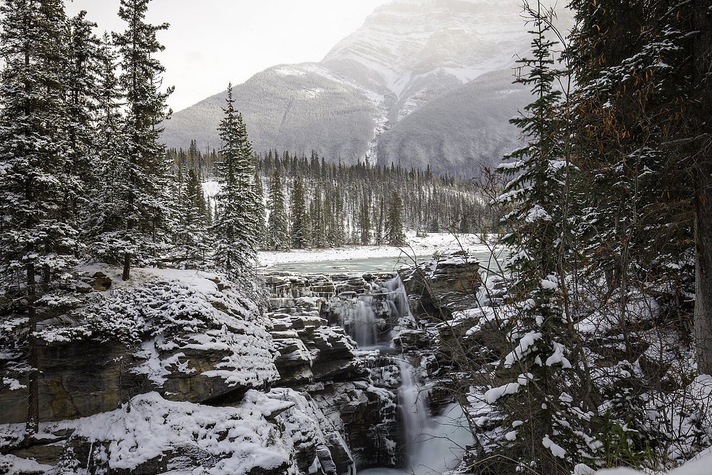 Athabasca Falls waterfall