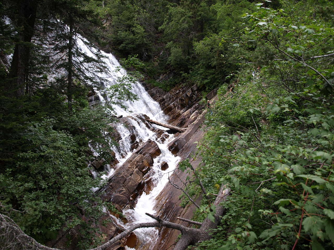 Upper Bertha Falls waterfall
