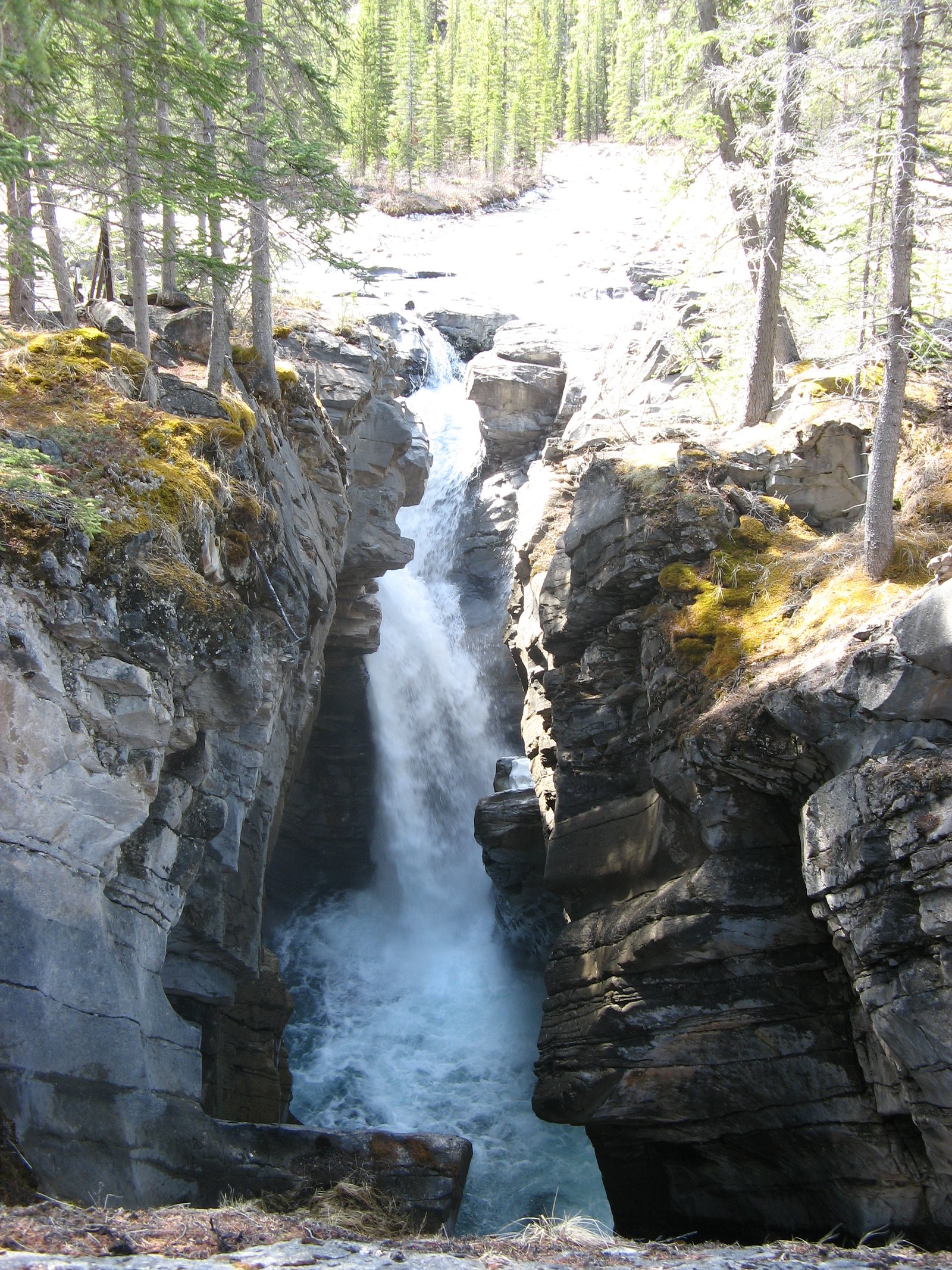 Siffleur Falls waterfall