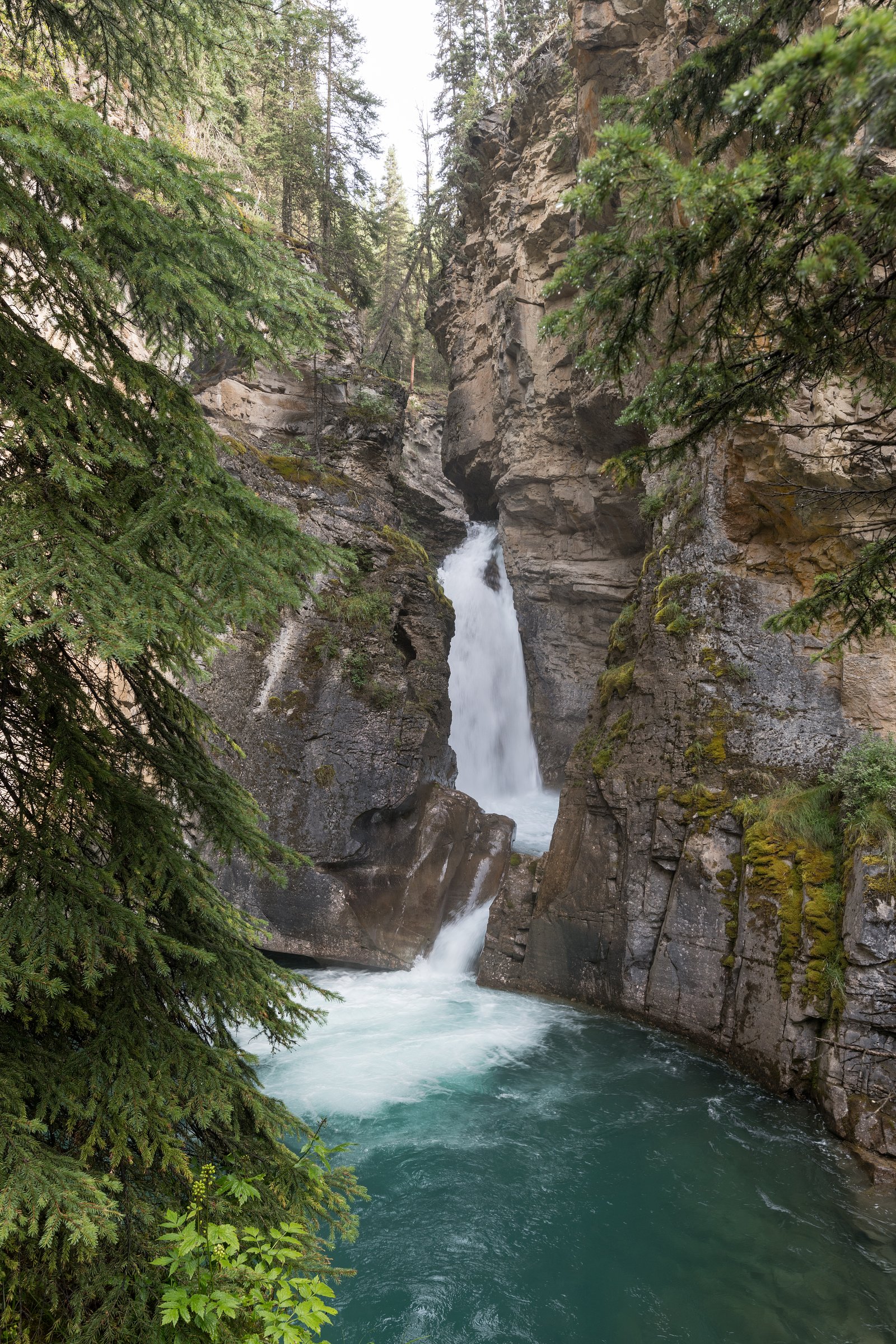 Lower Falls waterfall