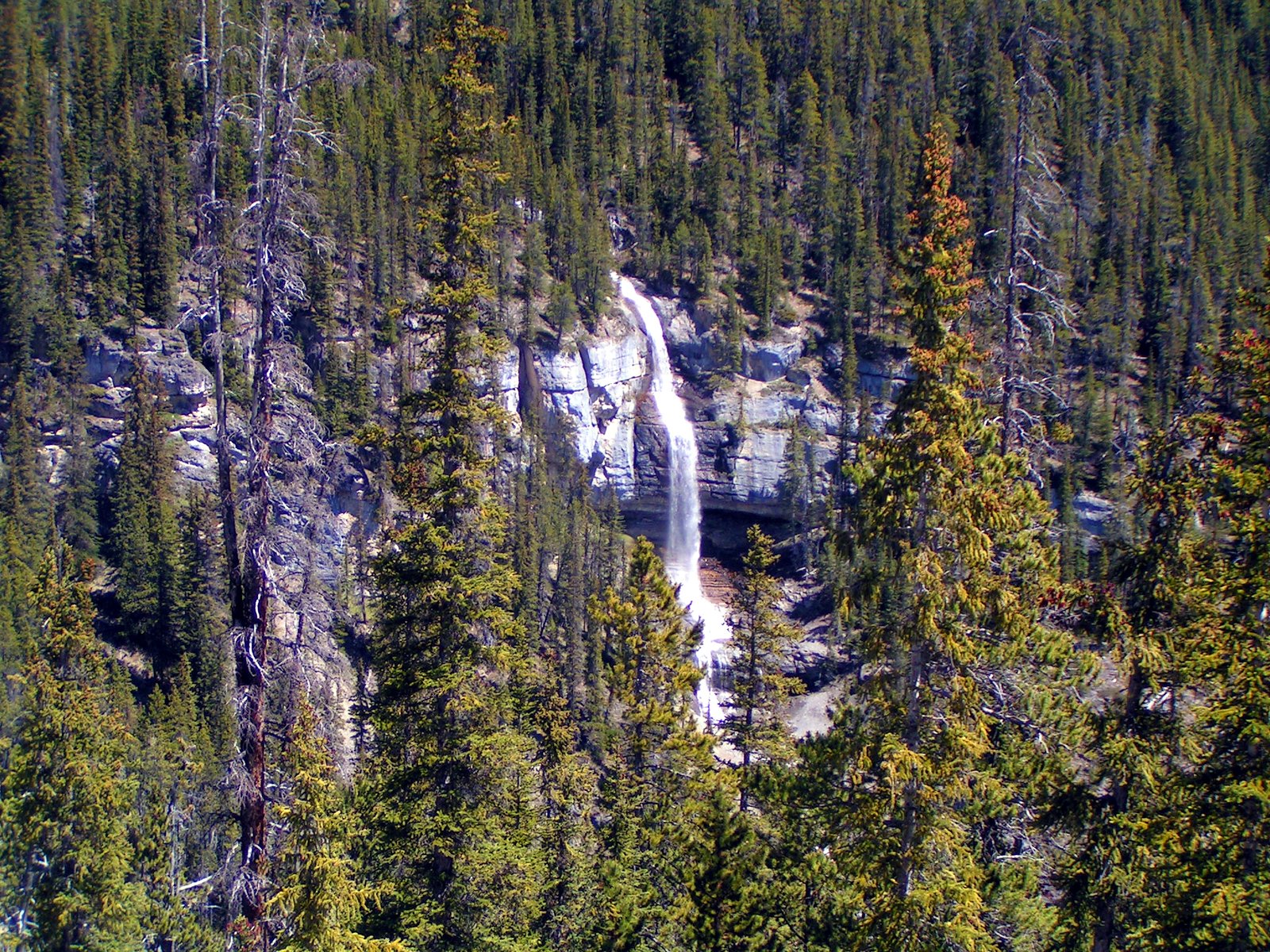 Bridal Veil Falls waterfall