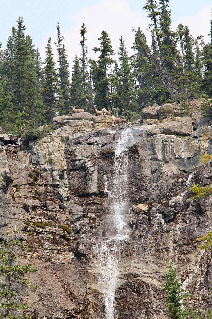 Bighorn Falls waterfall