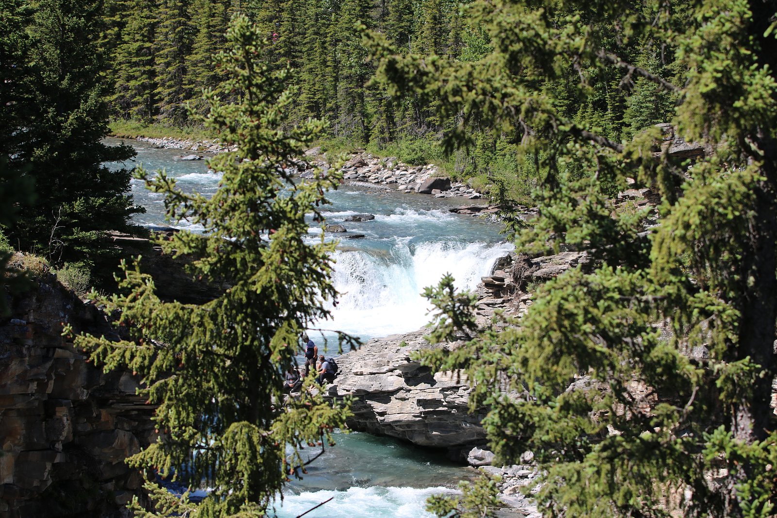 Sheep River Falls waterfall