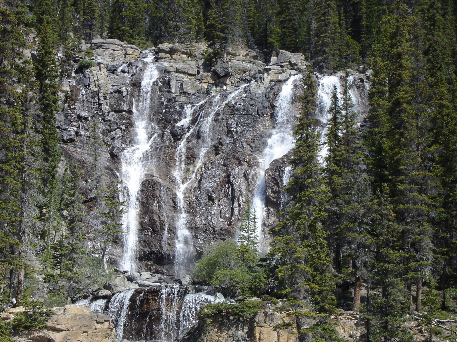 Tangle Creek, Jasper National Park