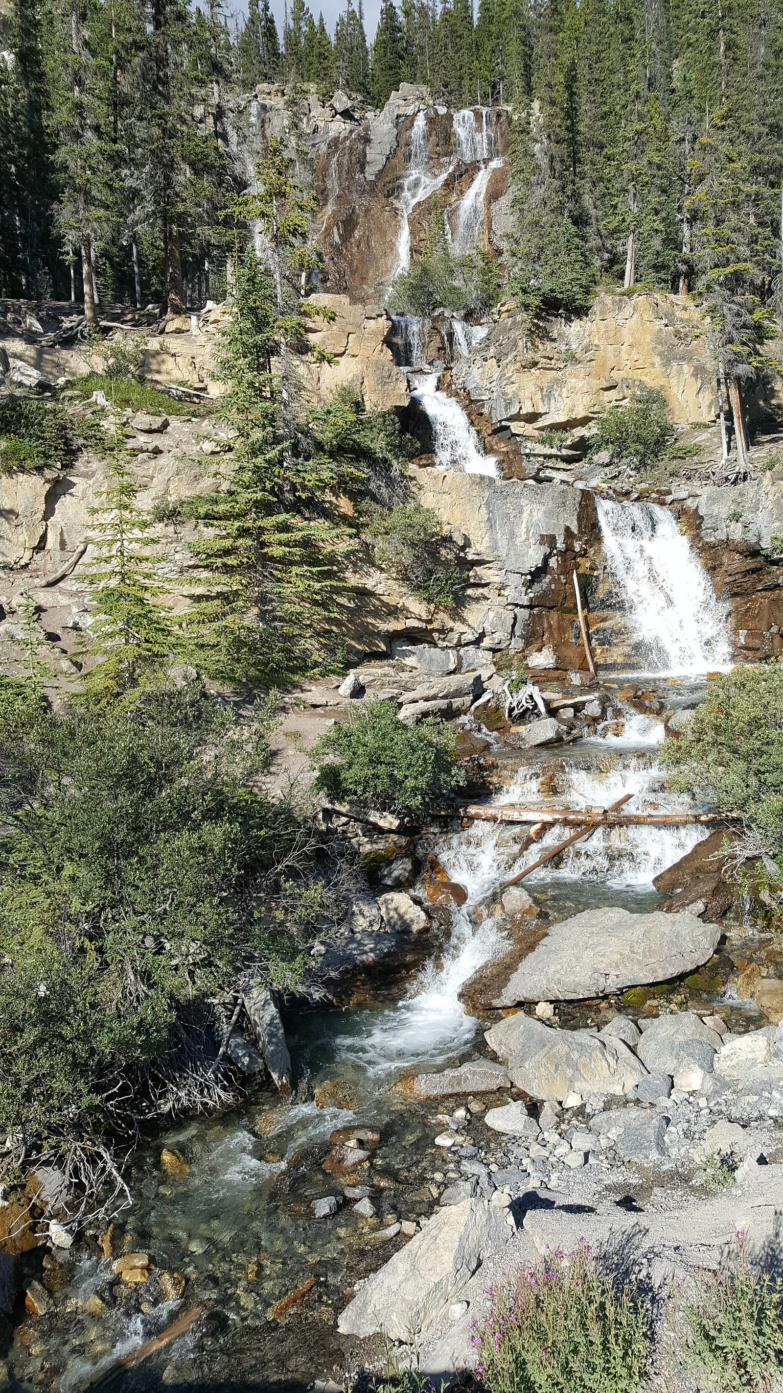 Tangle Creek, Jasper National Park