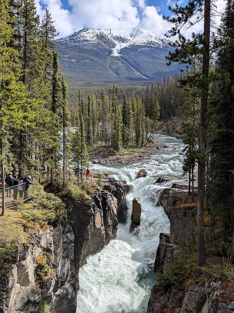 Sunwapta Falls waterfall