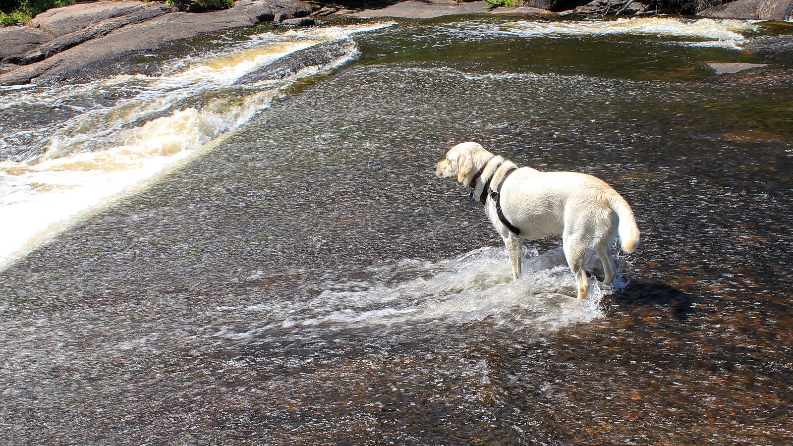 Viburnum Falls, Whiteshell Provincial Park