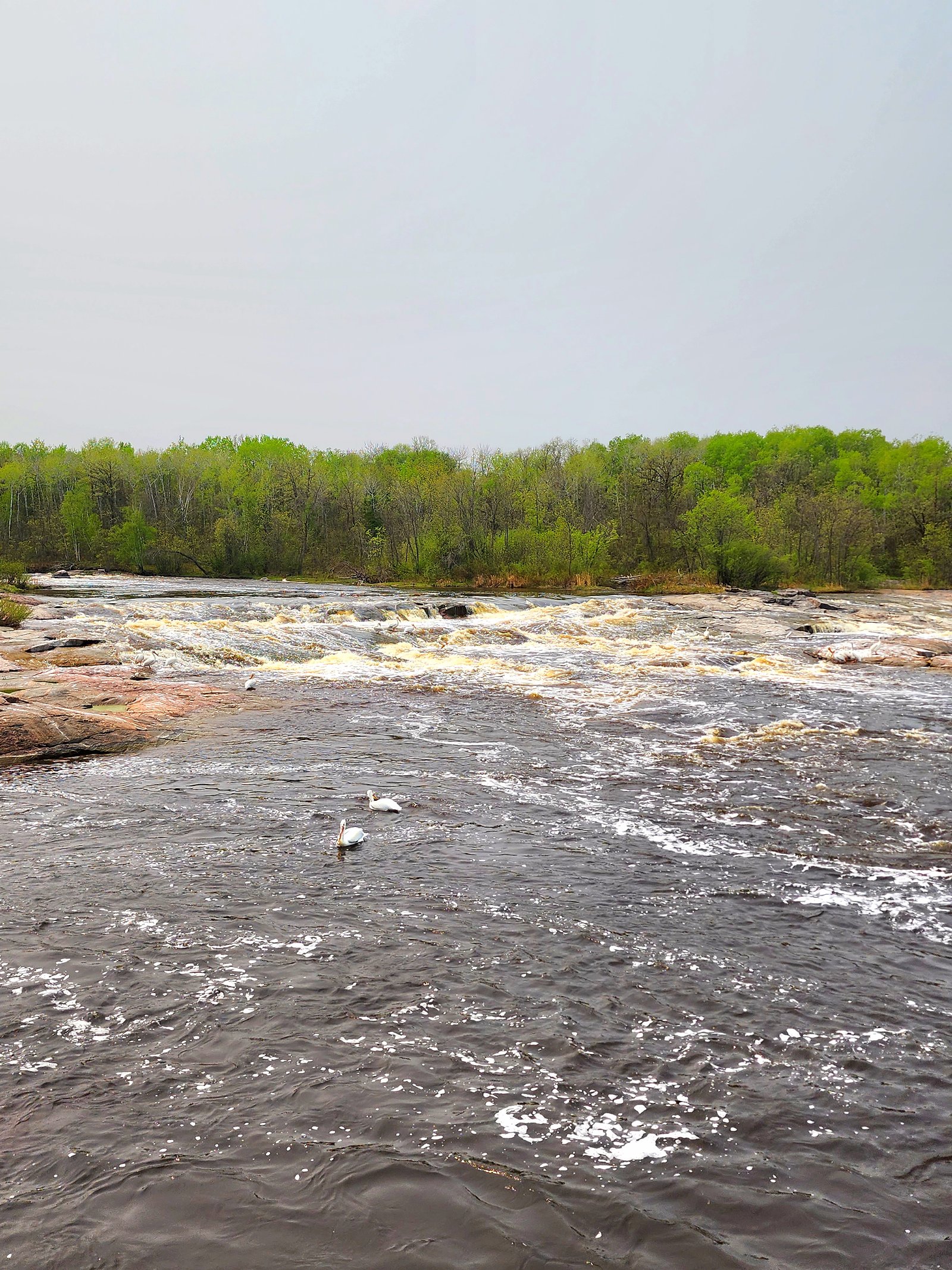 Whitemouth Falls waterfall