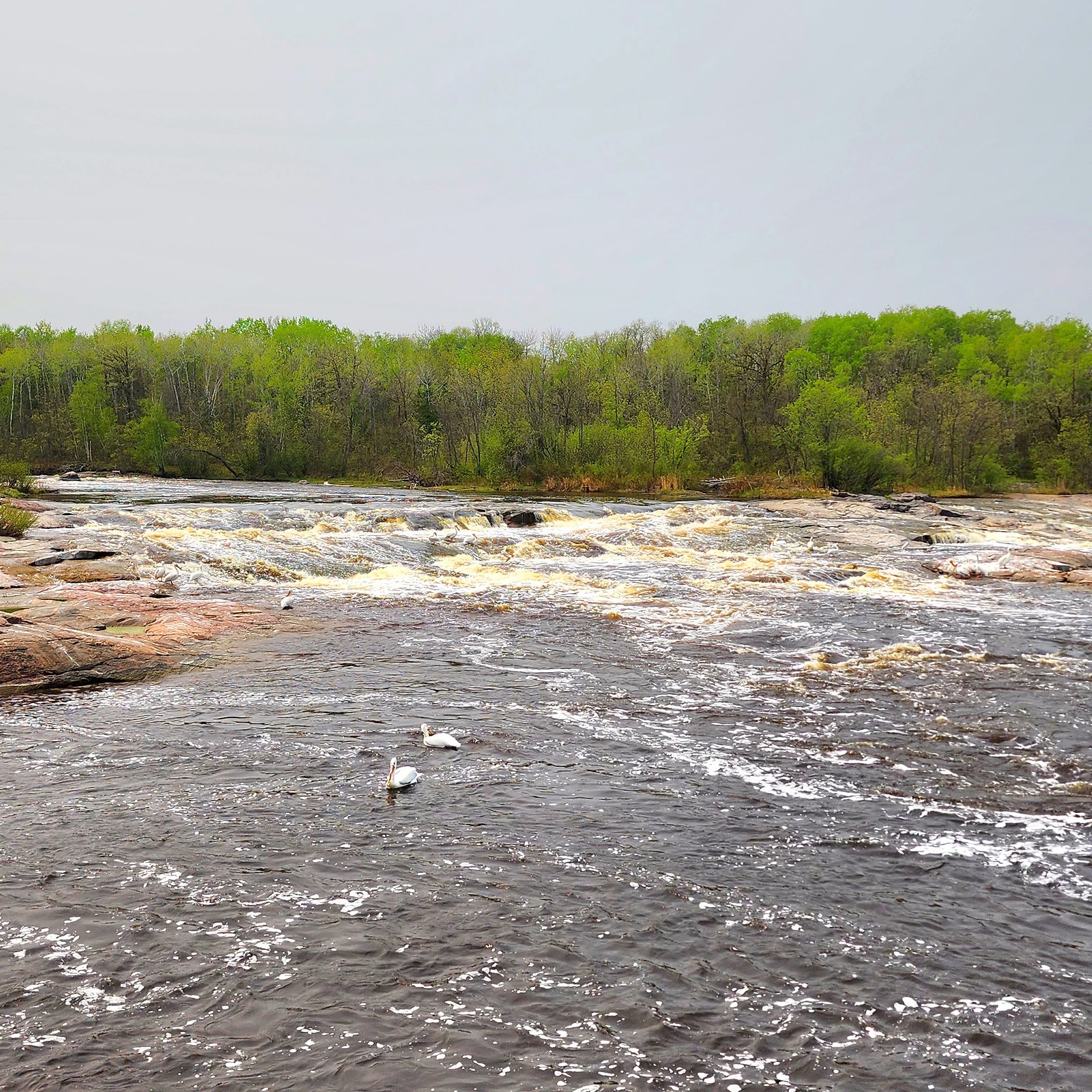 Whitemouth Falls waterfall