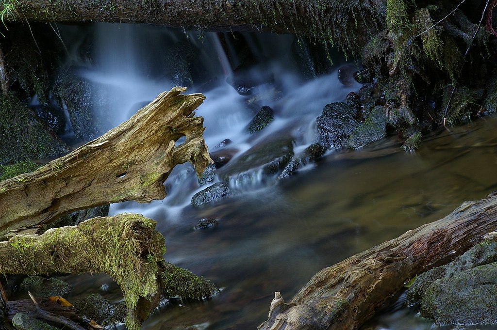 Dunbar Falls waterfall