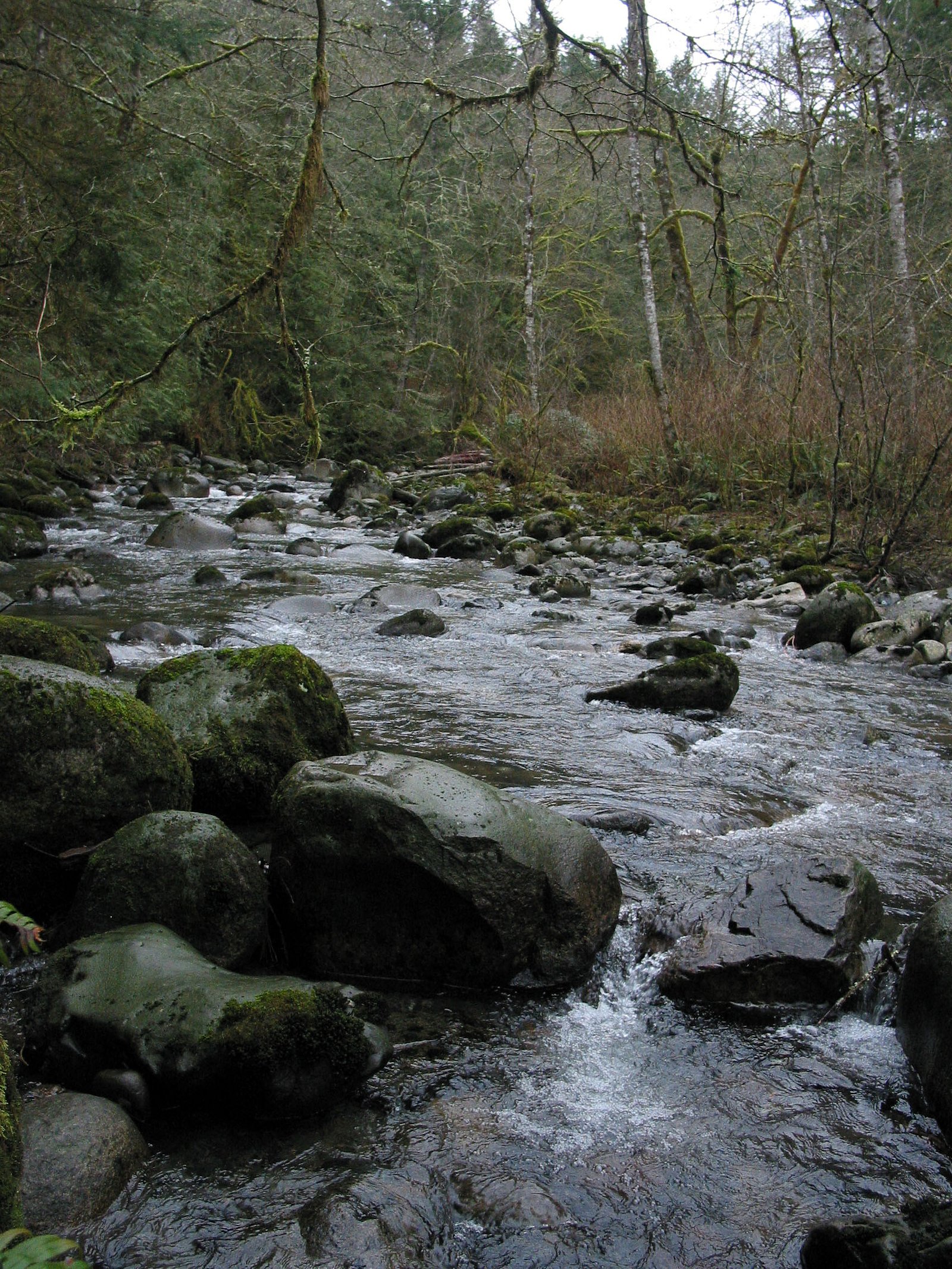 Wallace Falls waterfall