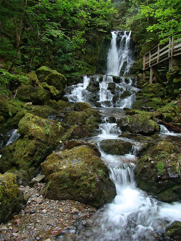 Dickson Falls waterfall