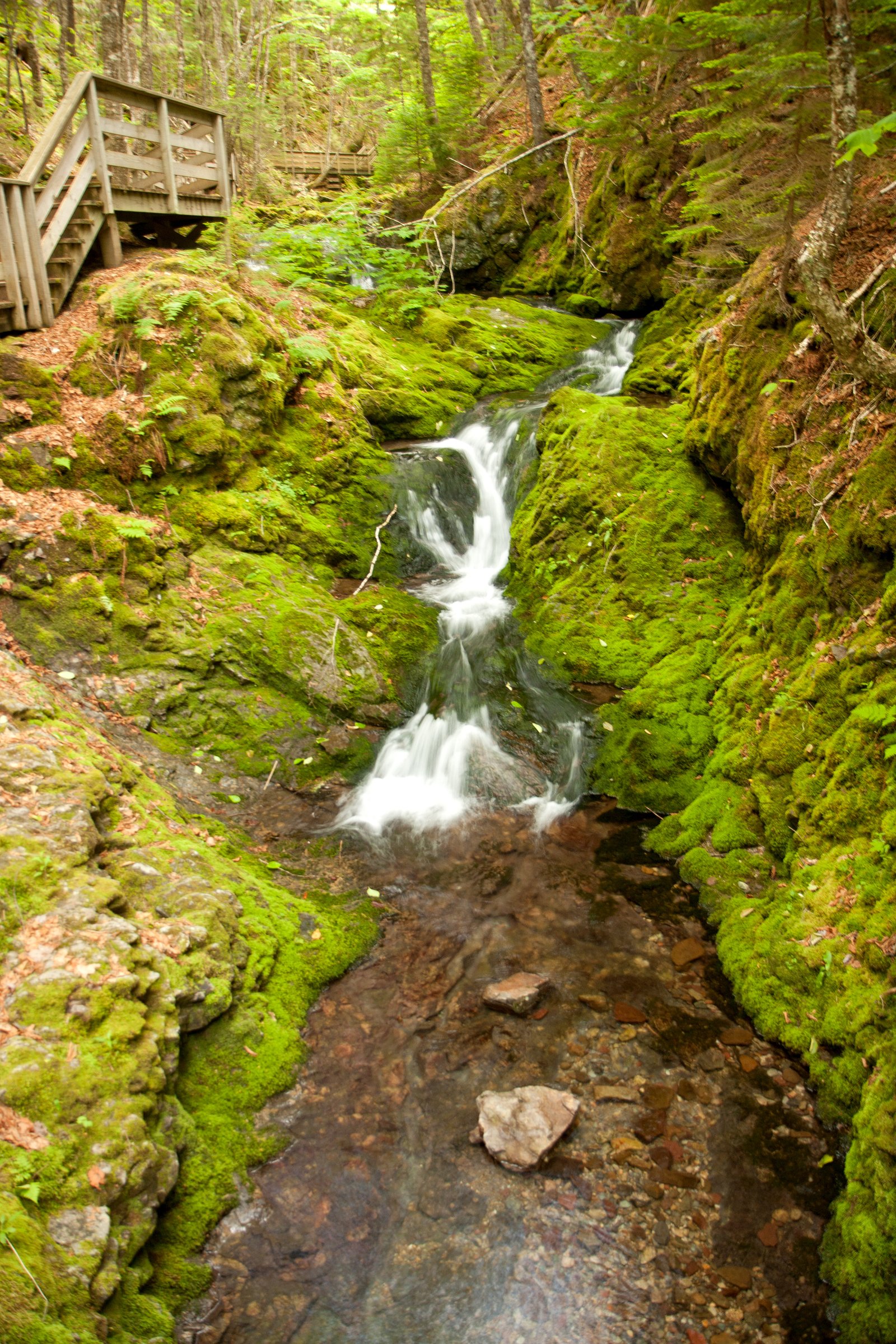 Dickson Falls waterfall