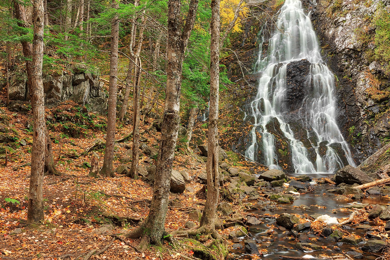 Hays Falls waterfall