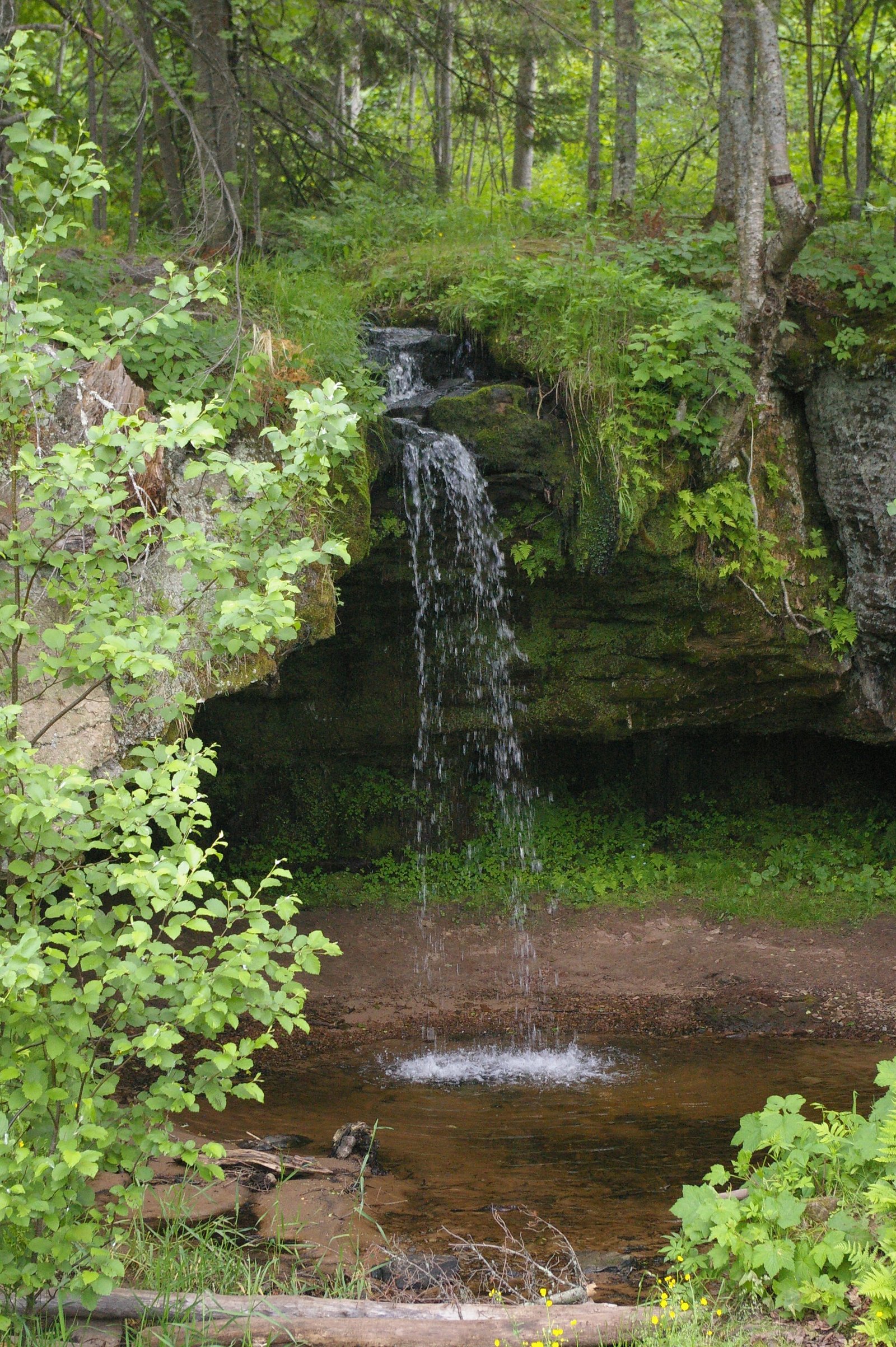Scott Falls waterfall