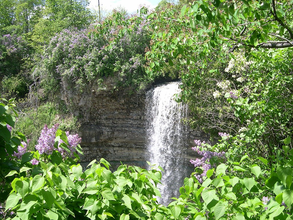 Borer's Falls waterfall