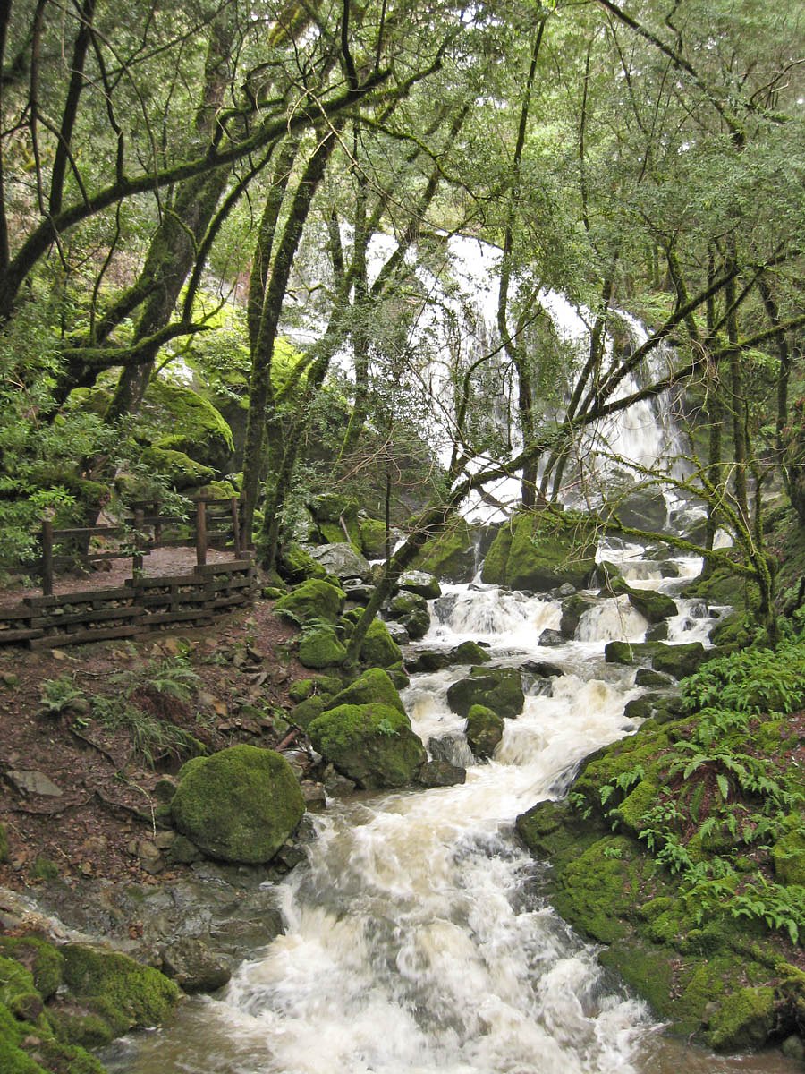 Cataract Falls waterfall