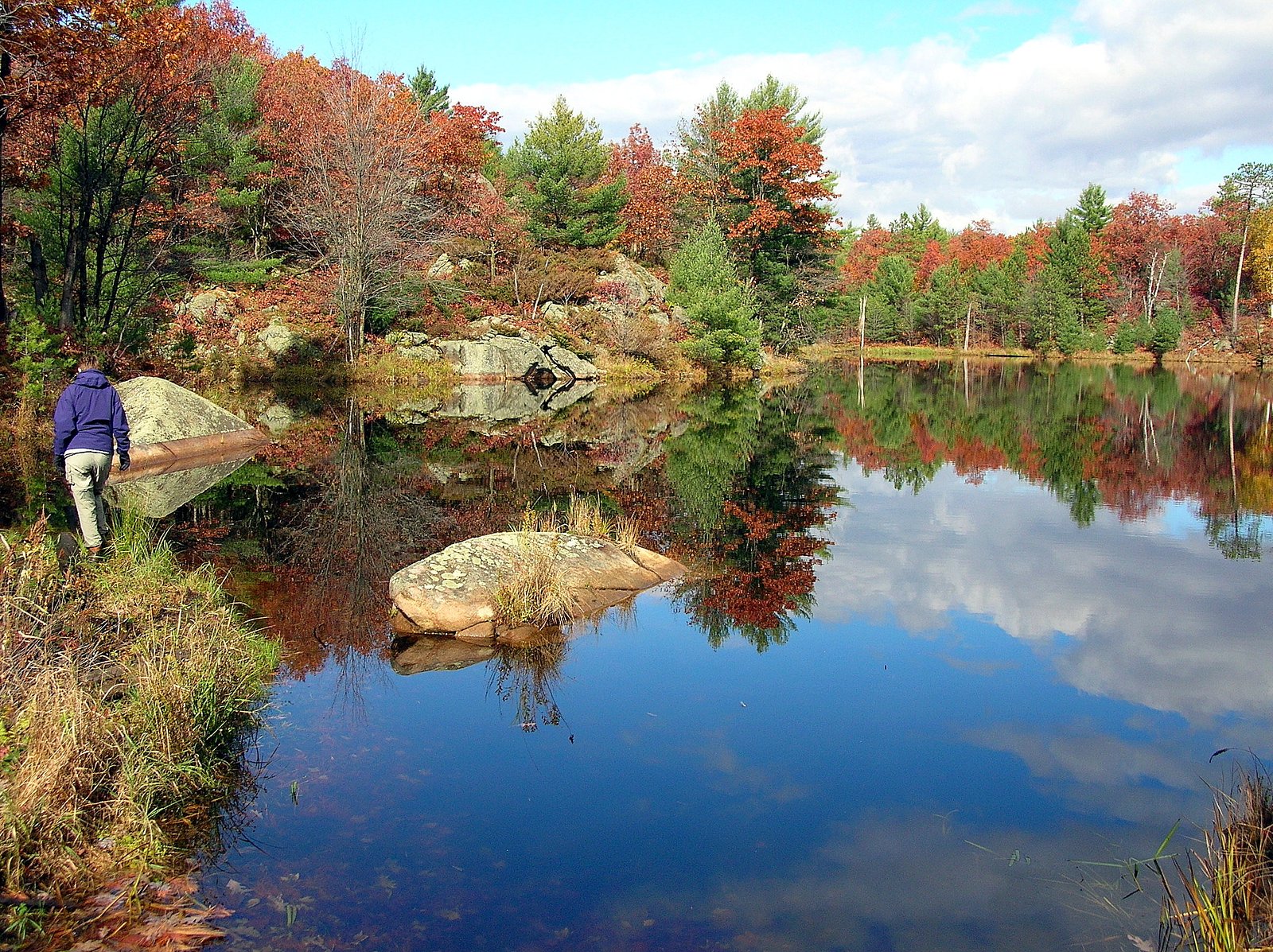 Coopers Falls waterfall