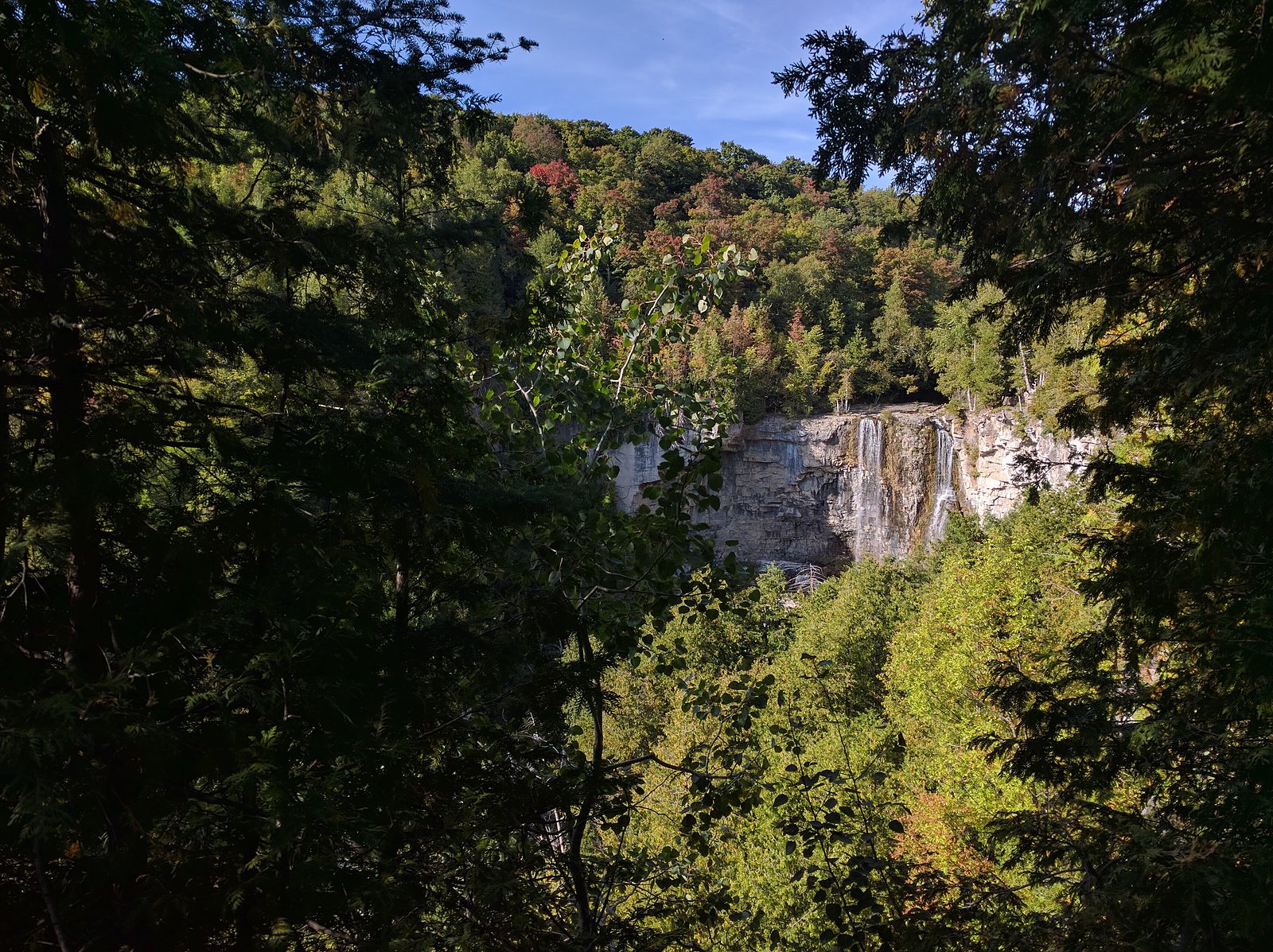 Eugenia Falls waterfall