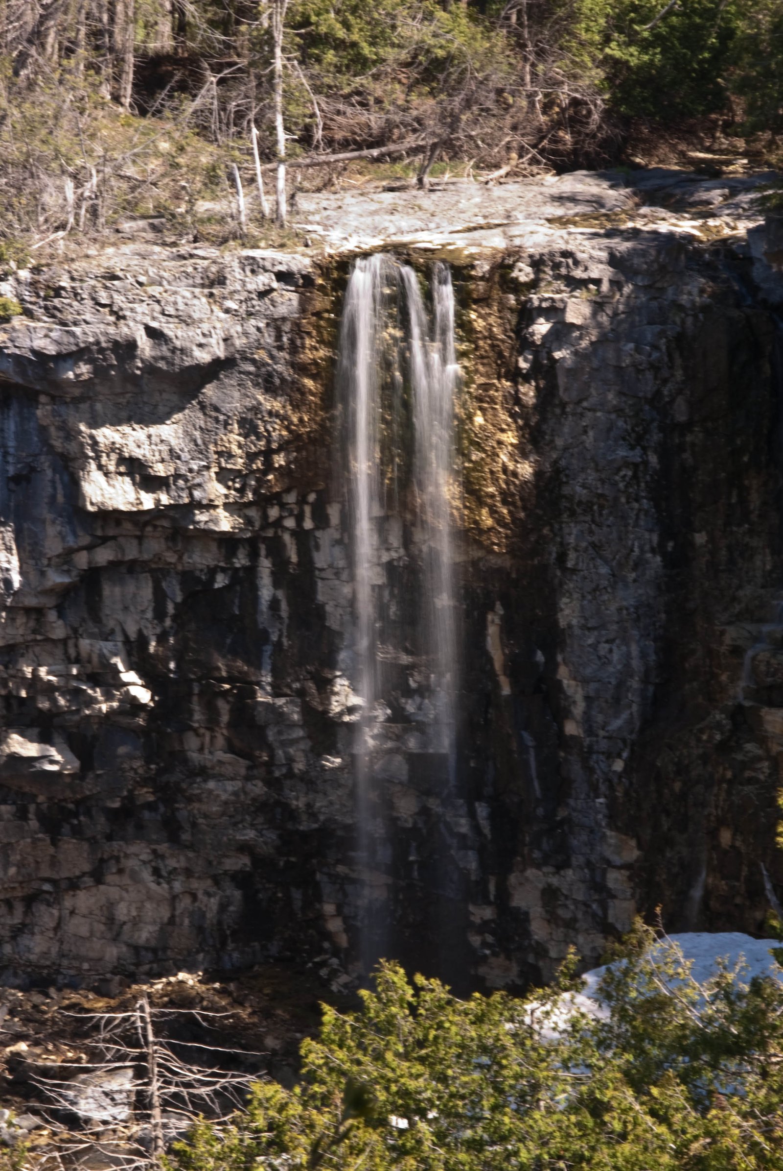 Eugenia Falls waterfall