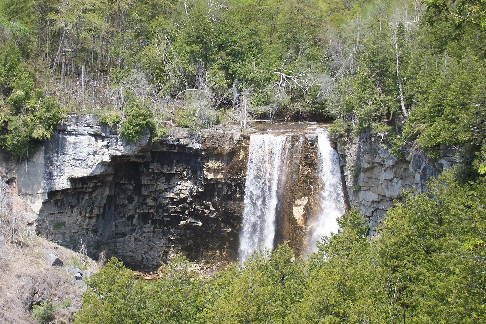 Eugenia Falls waterfall