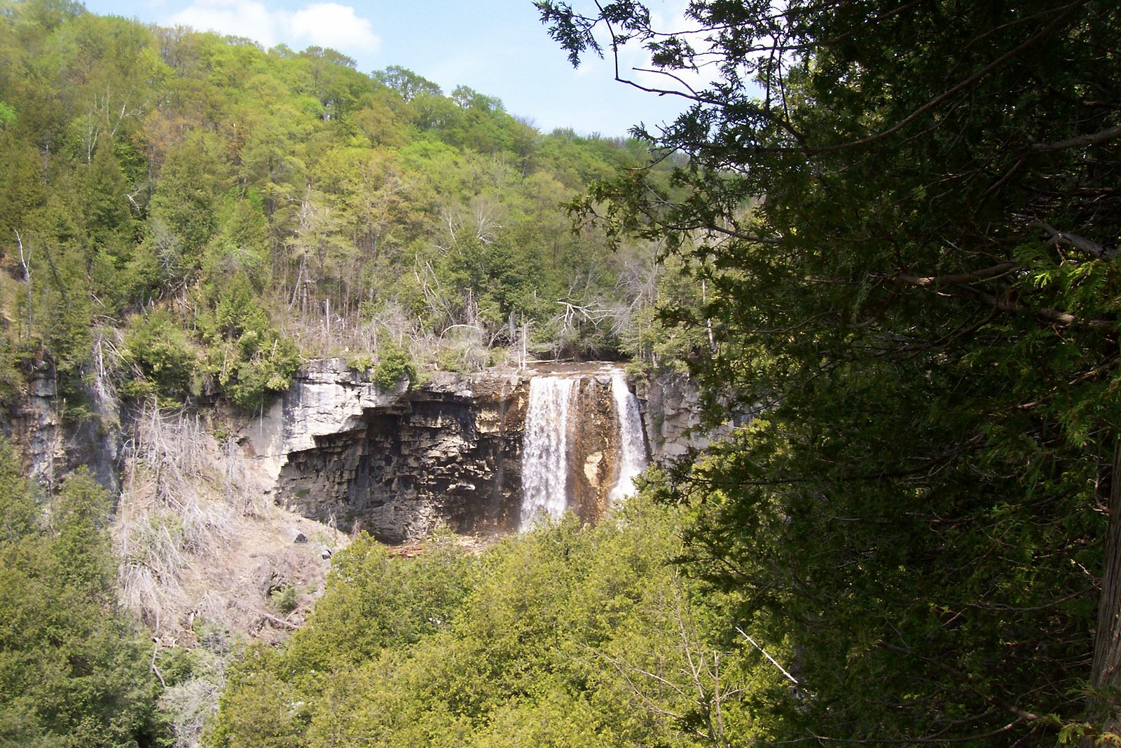 Eugenia Falls waterfall