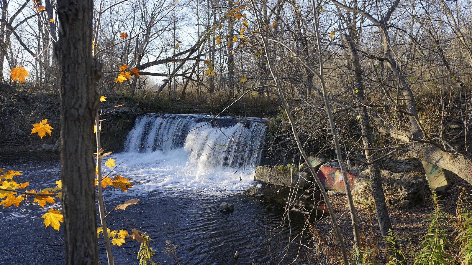 Lynn River Falls waterfall