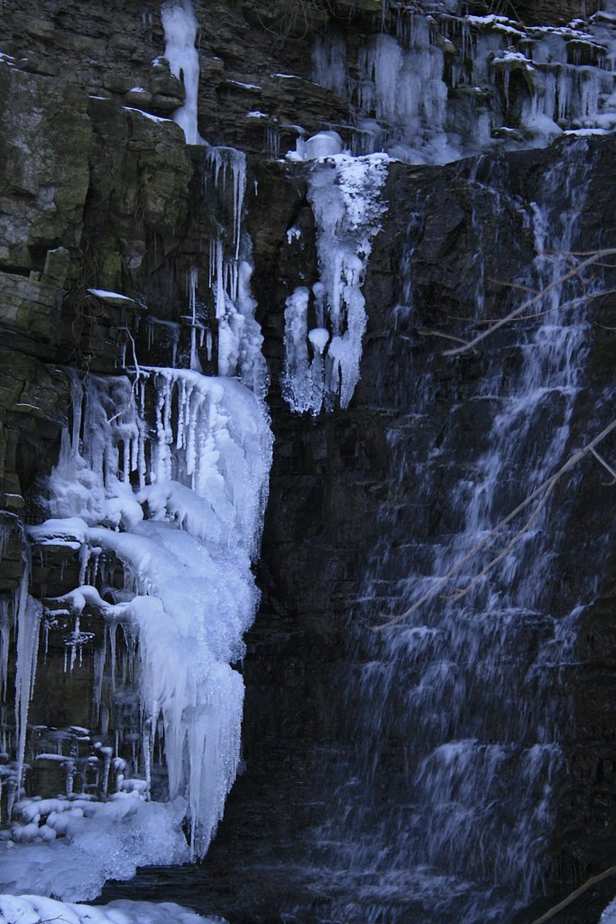 Mountview Falls waterfall