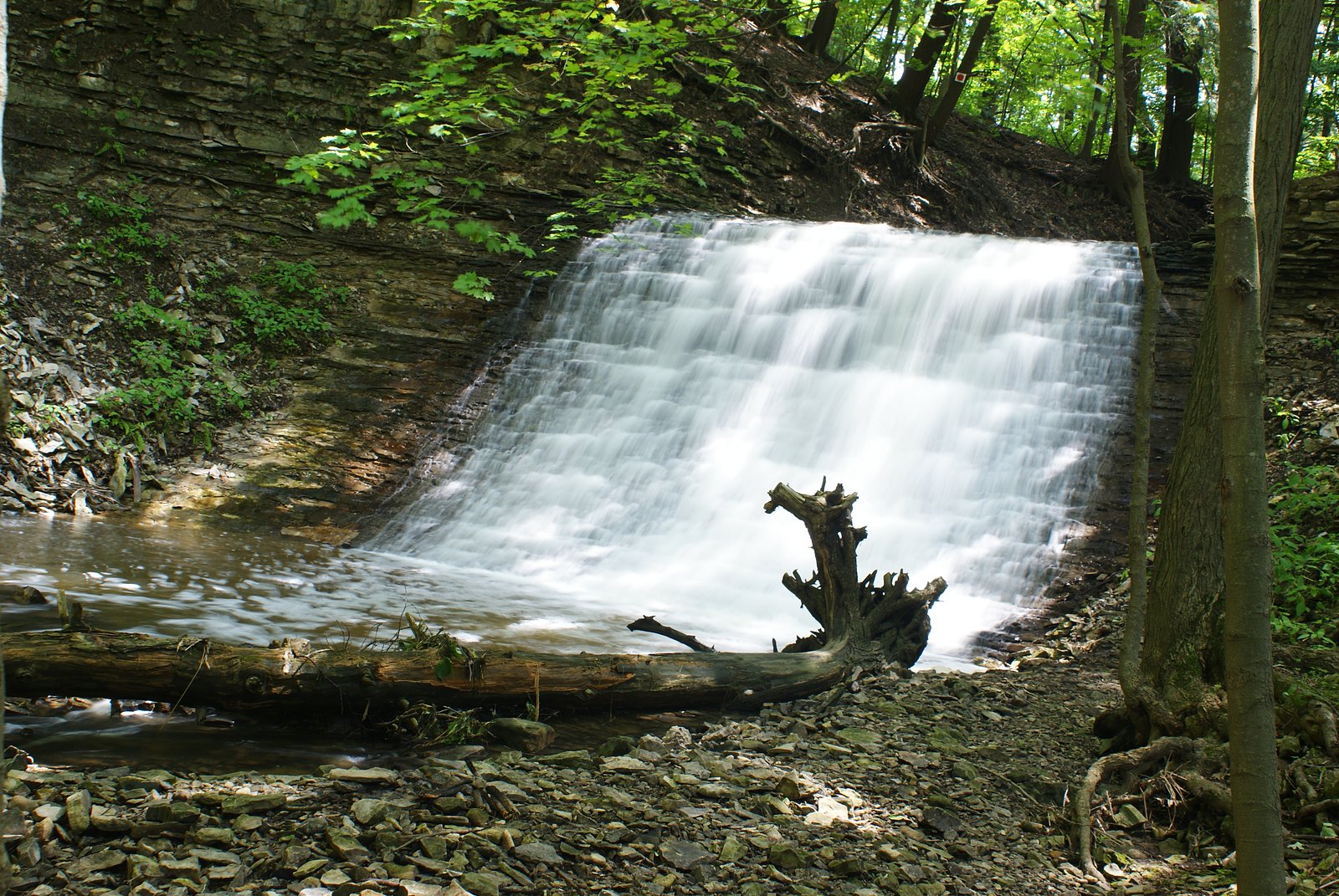 Washboard Falls, Dundas Valley Conservation Area