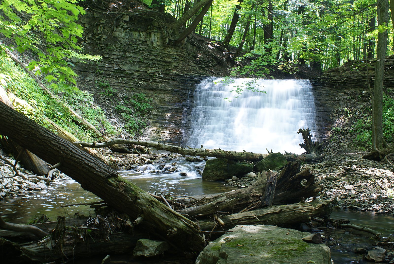 Washboard Falls, Dundas Valley Conservation Area