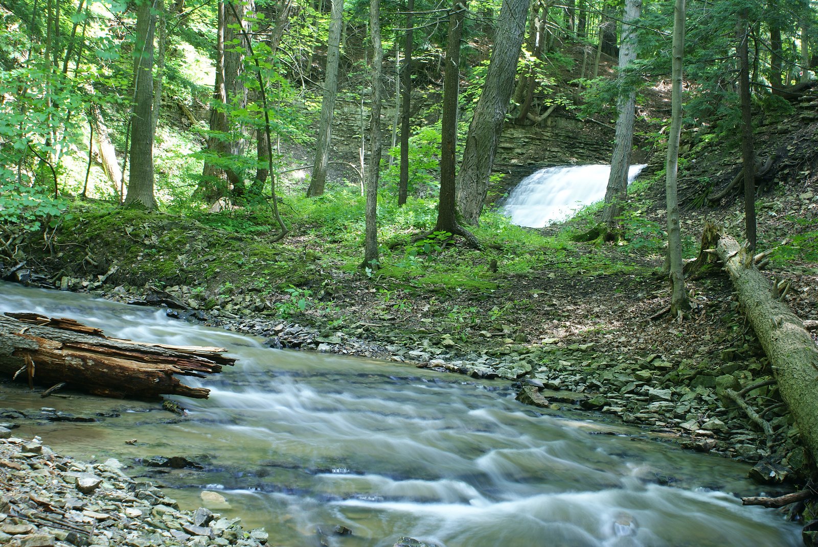 Washboard Falls, Dundas Valley Conservation Area