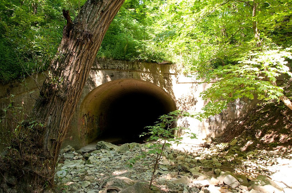 Devil's Punchbowl Falls, Devil's Punch Bowl Conservation Area